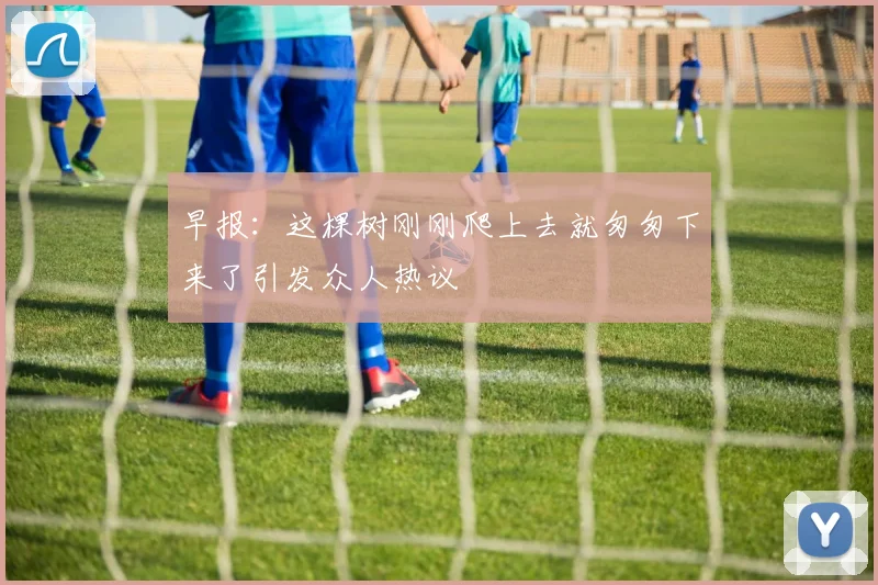 早报：这棵树刚刚爬上去就匆匆下来了引发众人热议